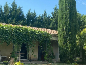 Les trois cyprès